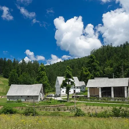 Kmetija Nasraj Farm stay *