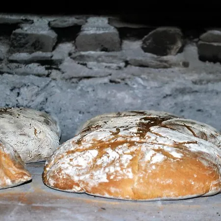 Çiftlik konaklama Kmetija Nasraj *
