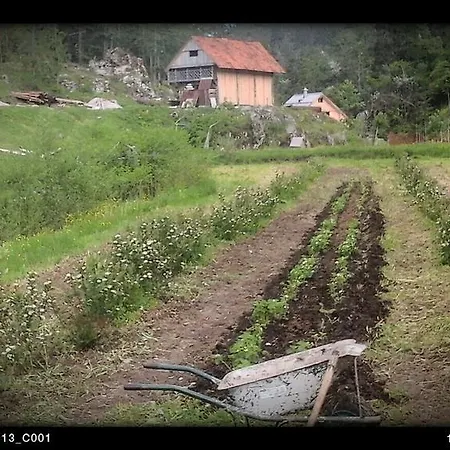 Kmetija Nasraj Farm stay *