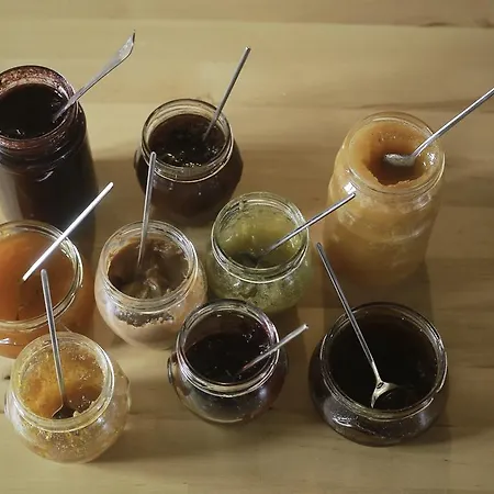 Çiftlik konaklama Kmetija Nasraj Idrija