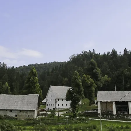 Feriegård Kmetija Nasraj *